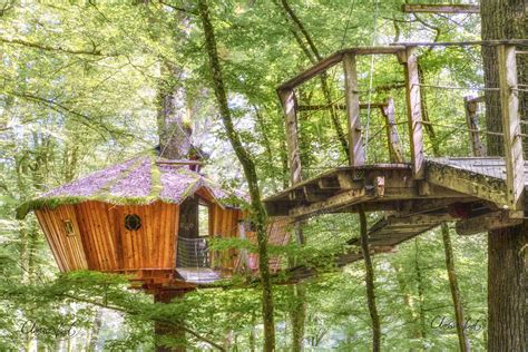 la cabane sucé sur erdre|Cabanes dans les arbres dans le  .